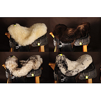 beránek na western sedlo