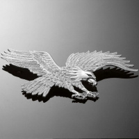 Emblém samolepící EAGLE, 230x120mm