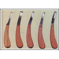 kopytní nůž AESCULAP