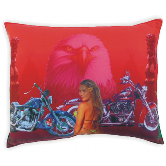 Polštář s potiskem M22 moto+orel