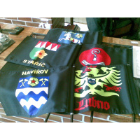 Vlaječka V40 znak města, obce