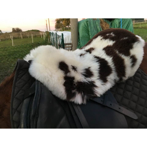 beránek na anglické sedlo