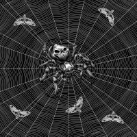 Šátek bavlna pavouk