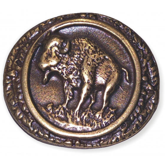 westernové bolo F924