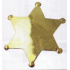 sheriffská hvězda